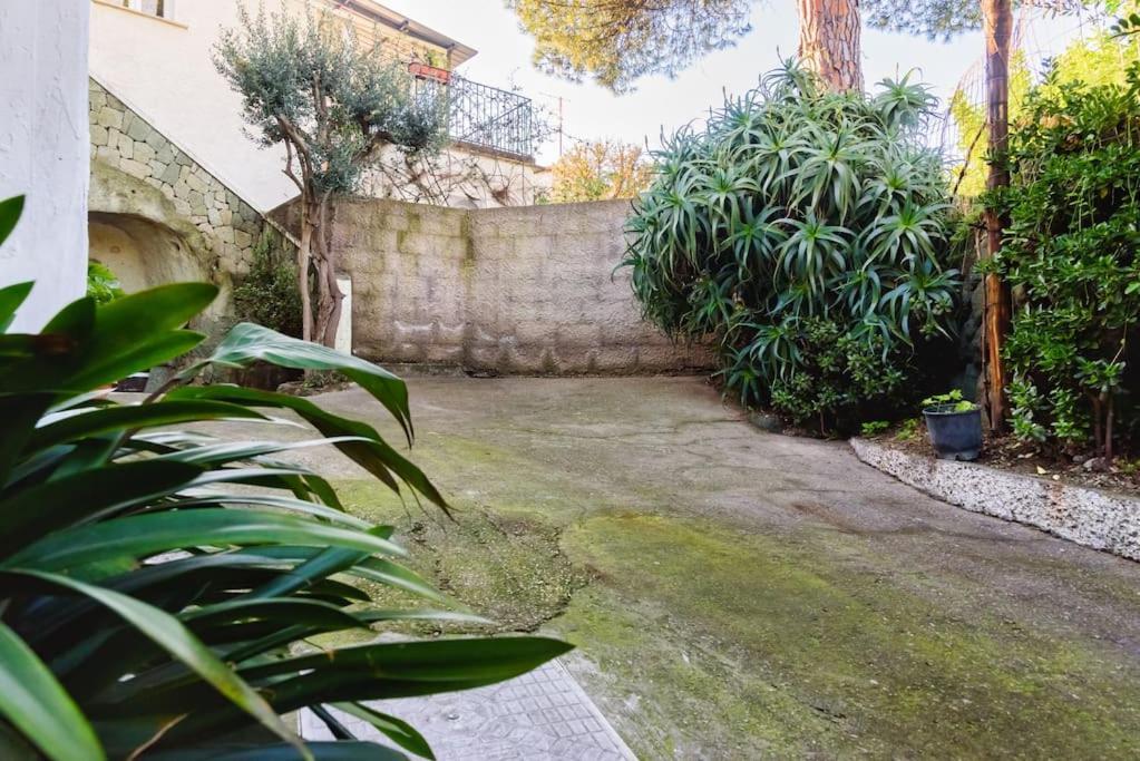Appartamento In Pietra Di Tufo Verde Ischitana, Forio Forio di Ischia Eksteriør bilde